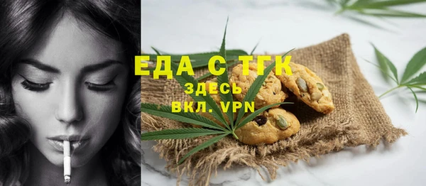 индика Семёнов