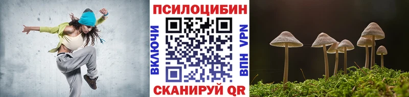 Псилоцибиновые грибы ЛСД  Высоцк 