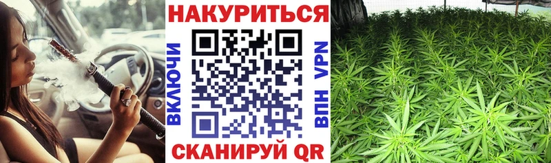 МАРИХУАНА конопля  наркошоп  Высоцк 